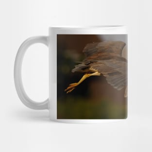 Juvenile  Night heron Mug